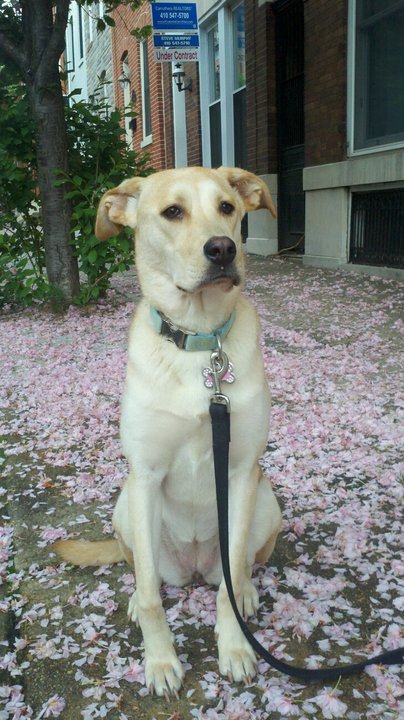 Beatrice “Bea” from Federal Hill