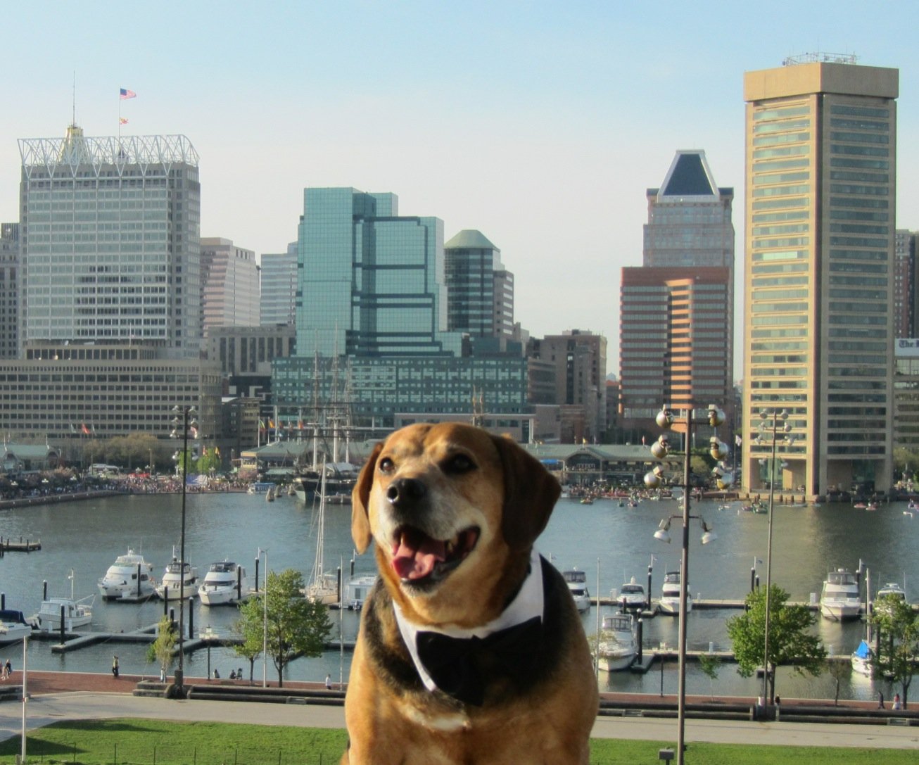 Charlie Smith from South Baltimore