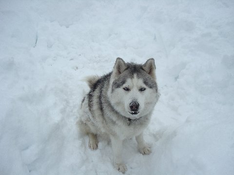 Maya from South Baltimore