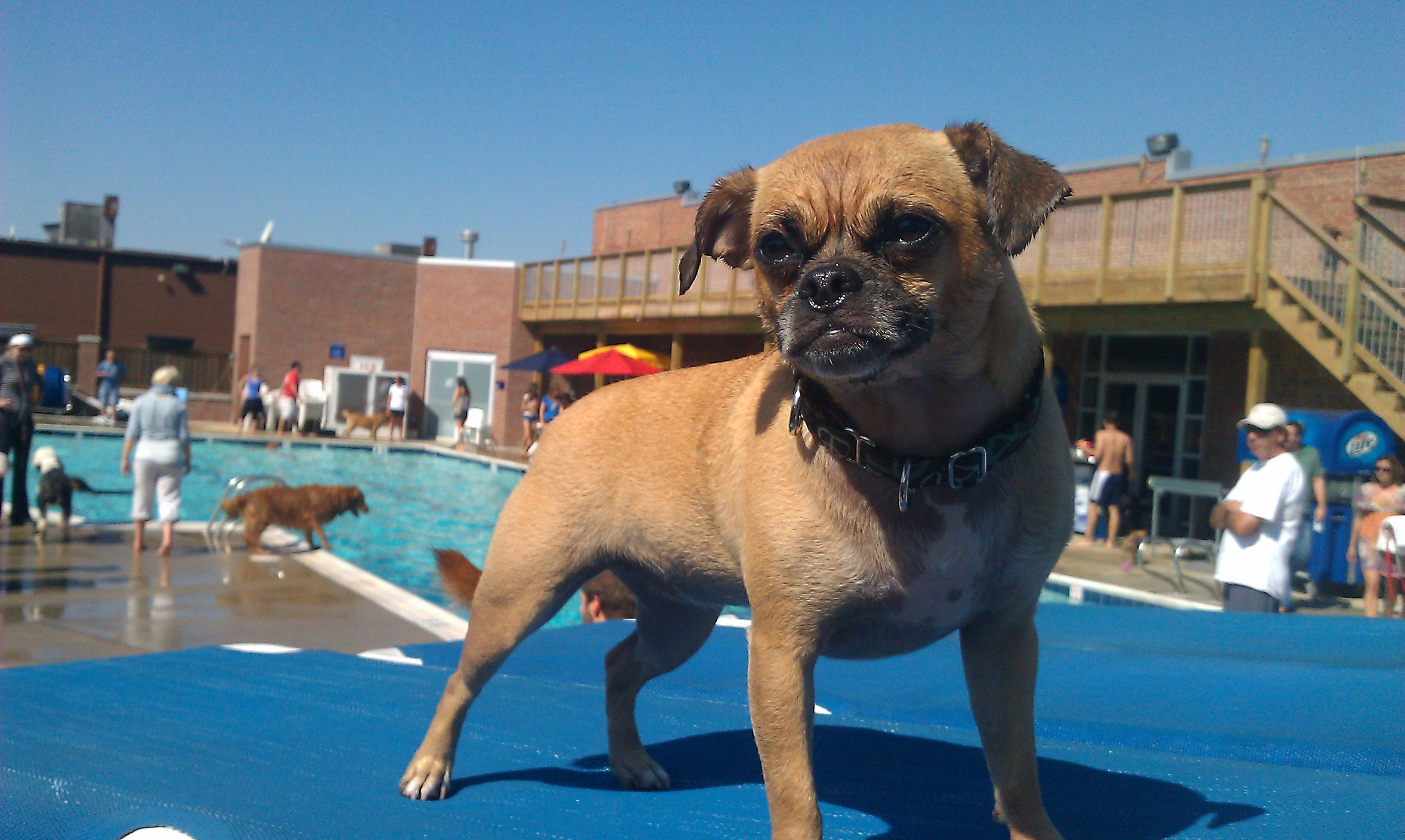 Tazzy from South Baltimore