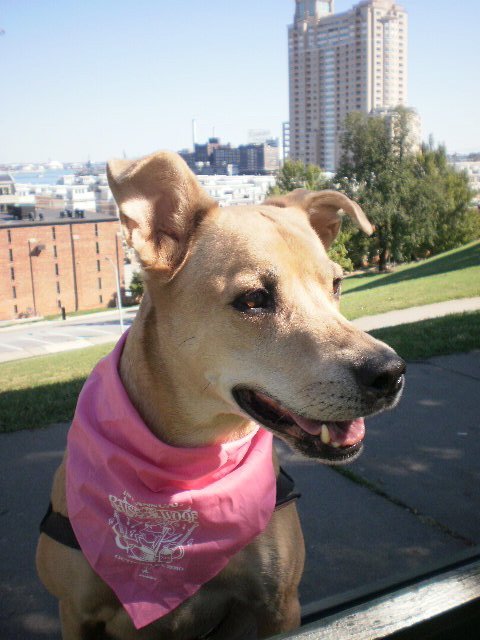 Nico from Federal Hill