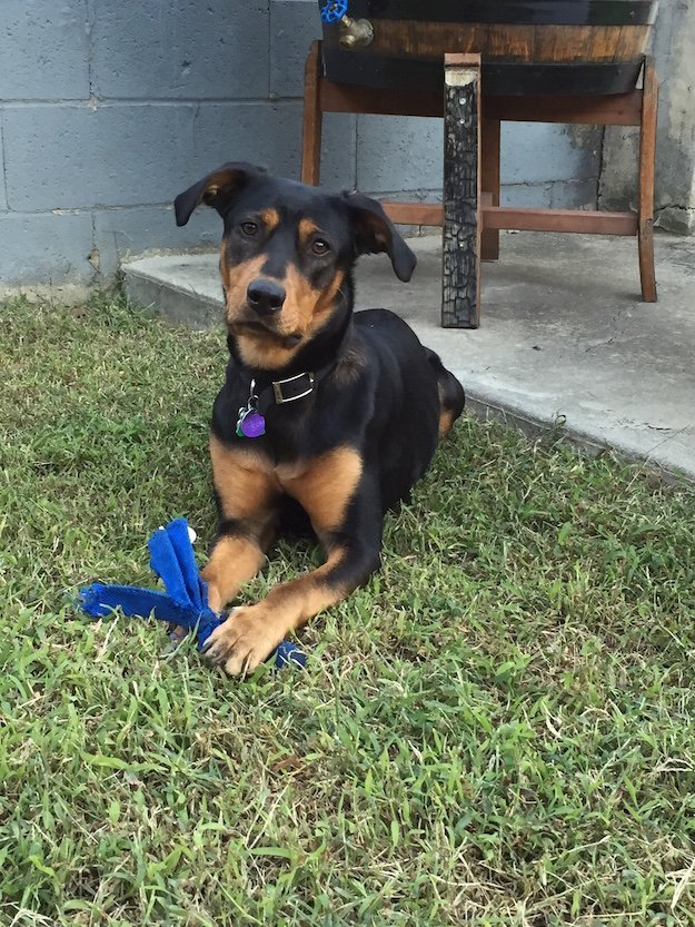 Rilo