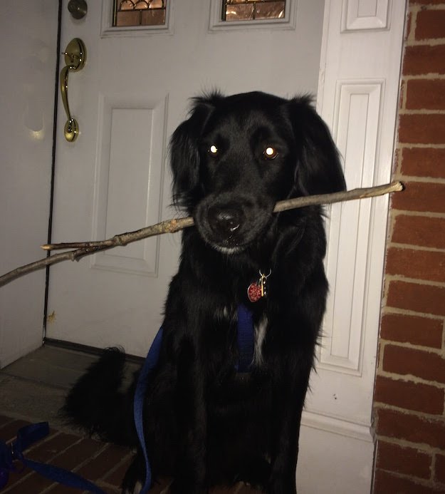 Stoop Sitting