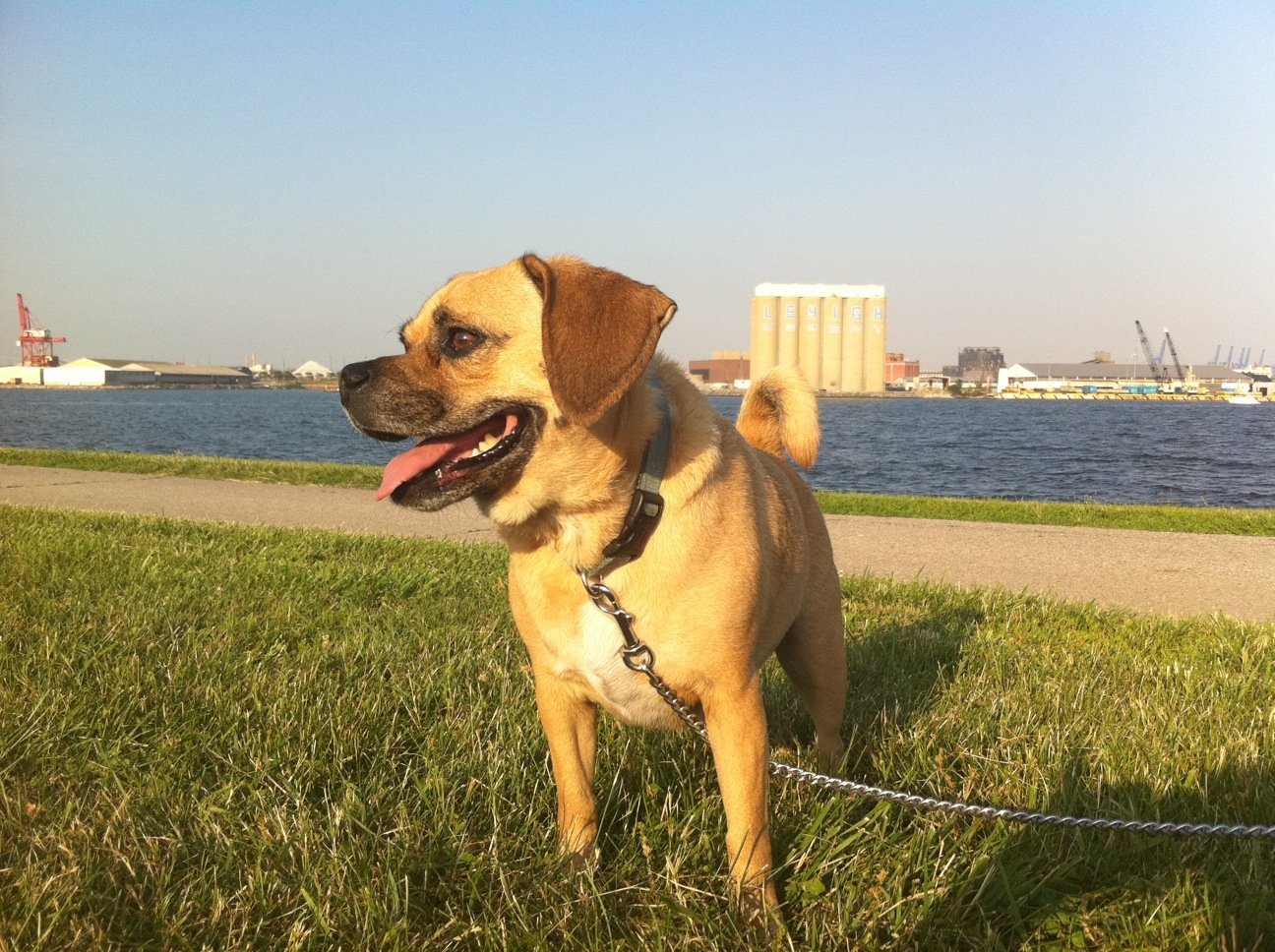 Hansel from South Baltimore