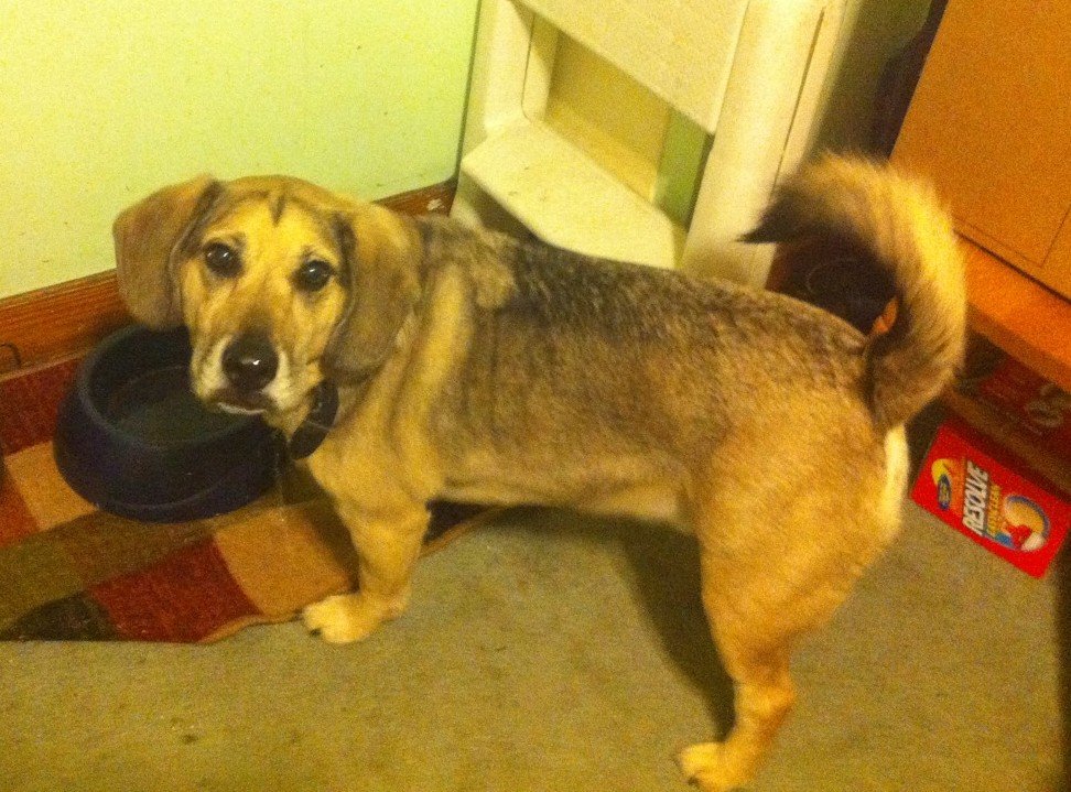 Petey from South Baltimore