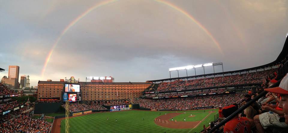 orioles